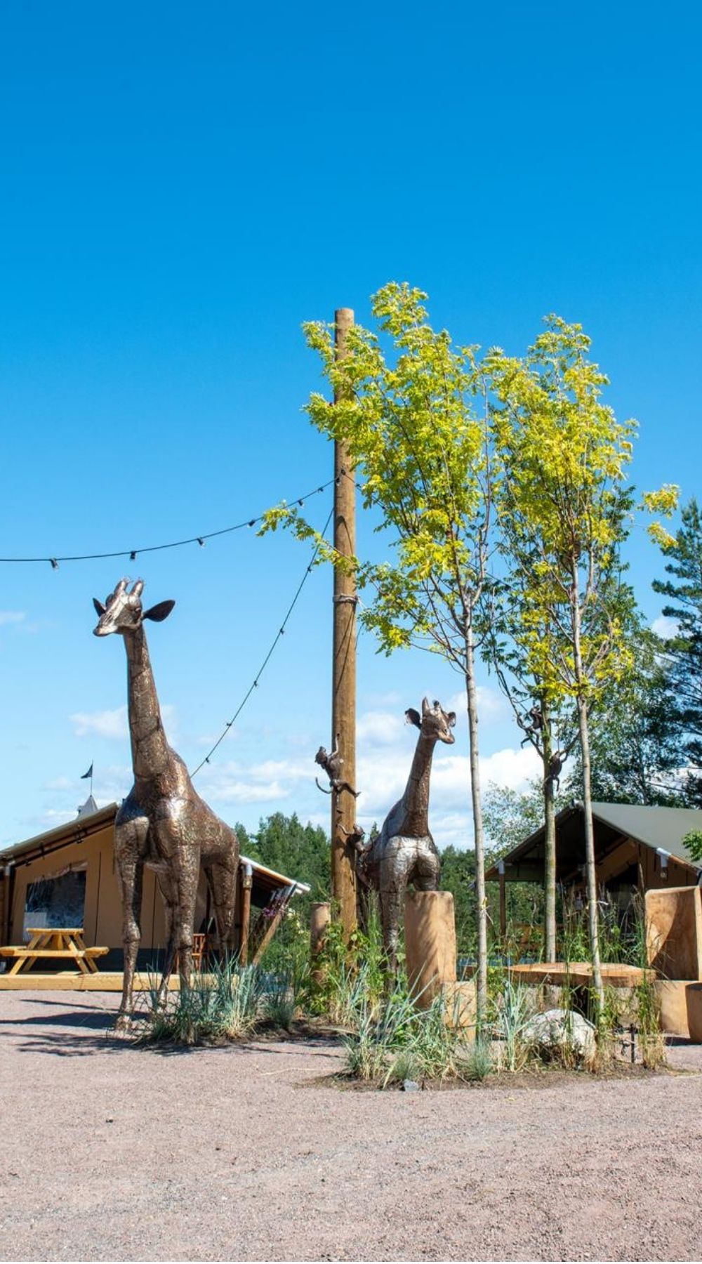 Dyreparken-glamping